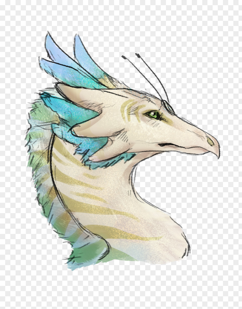 Bird Beak Dragon Feather PNG