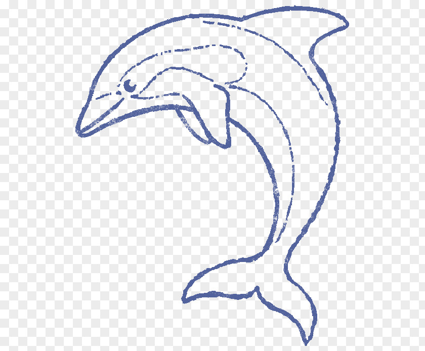 Dolphin /m/02csf Porpoise Drawing Clip Art PNG