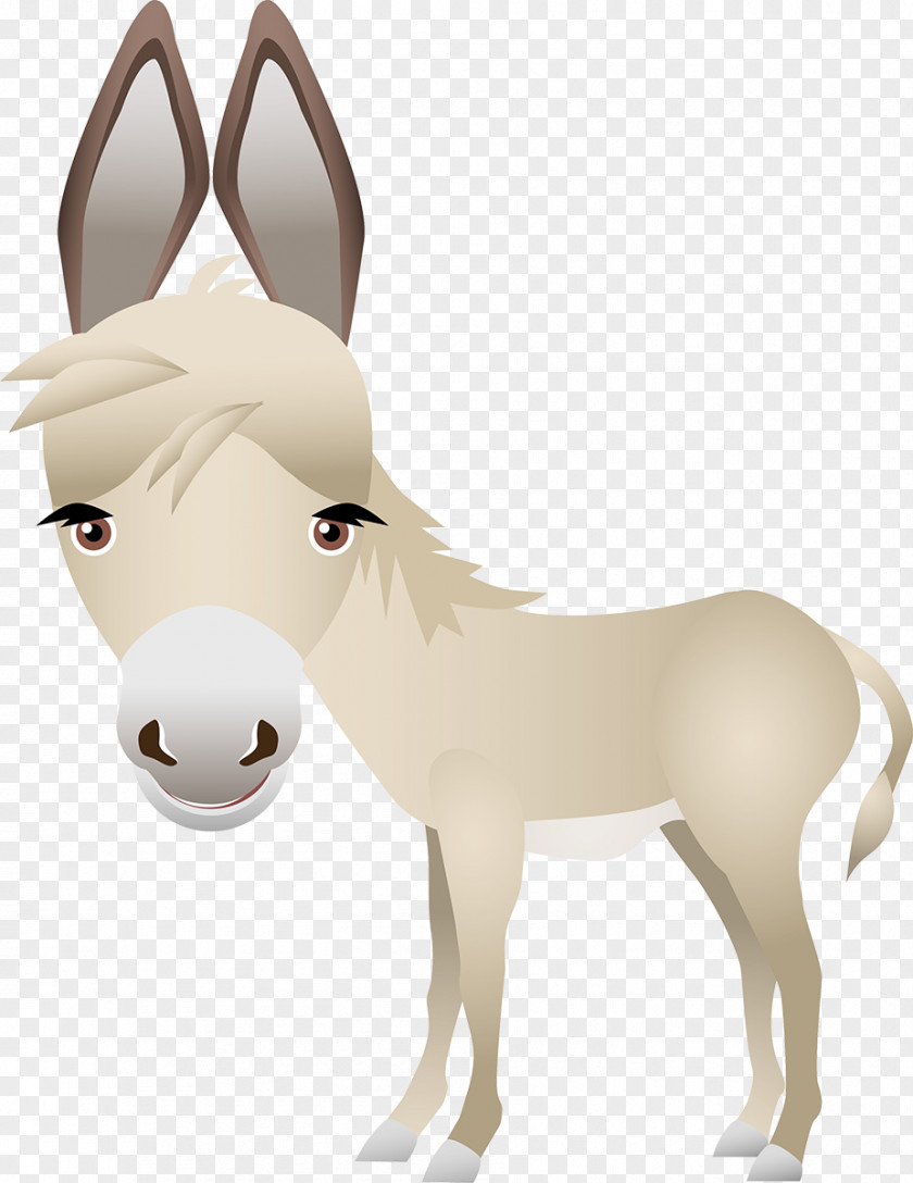 Donkey Mule Clip Art Foal Vector Graphics PNG