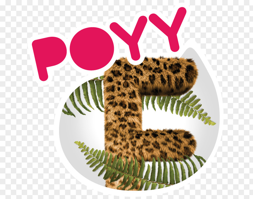 Frend Carnivora Fauna Fur Font PNG