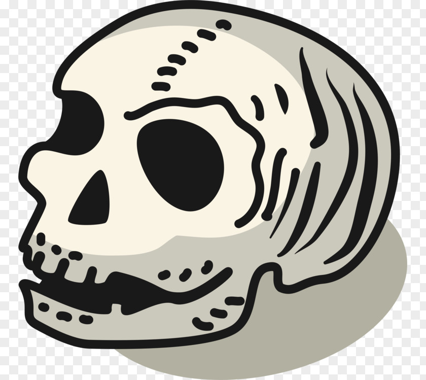 Helmet Personal Protective Equipment Human Skull Drawing PNG