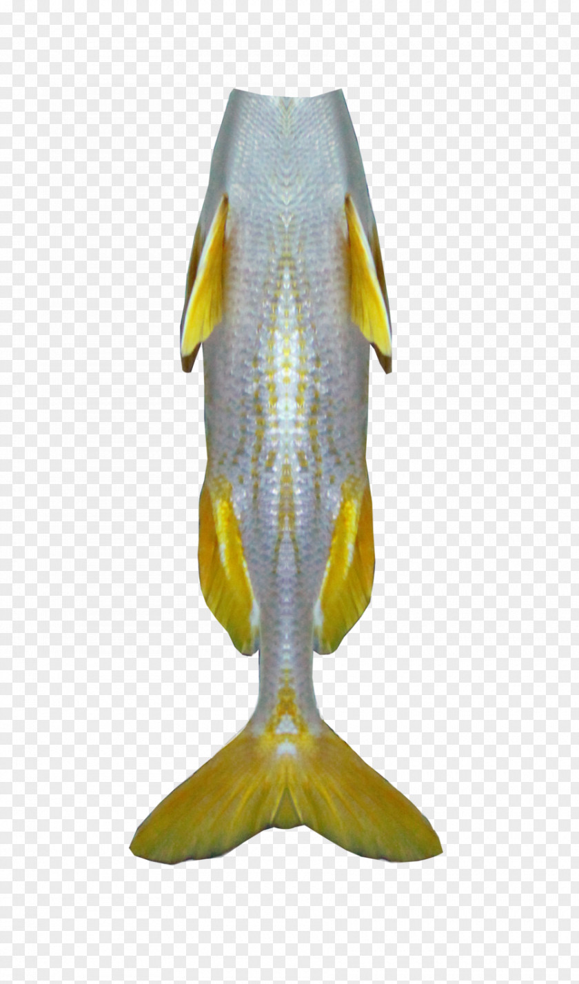 Mermaid Tails Fish PNG