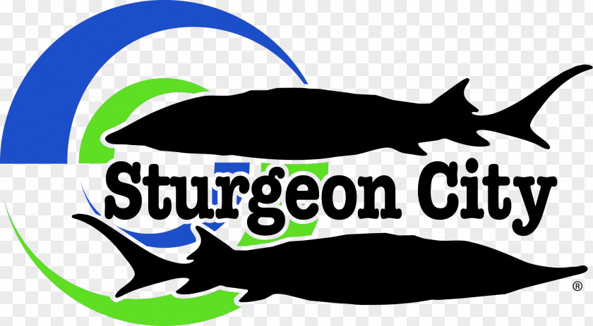 New River Sturgeon City Jacksonville-Onslow Sports Commission Court Street Logo PNG