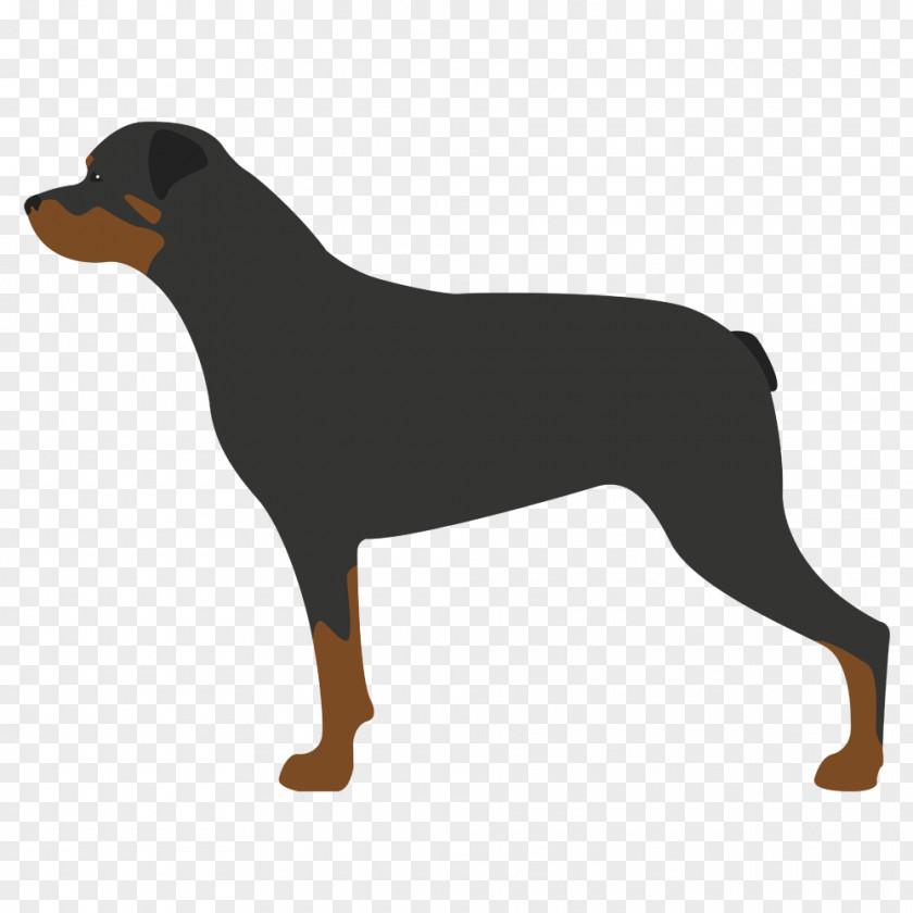 Puppy German Pinscher Smaland Hound Rottweiler Whippet PNG