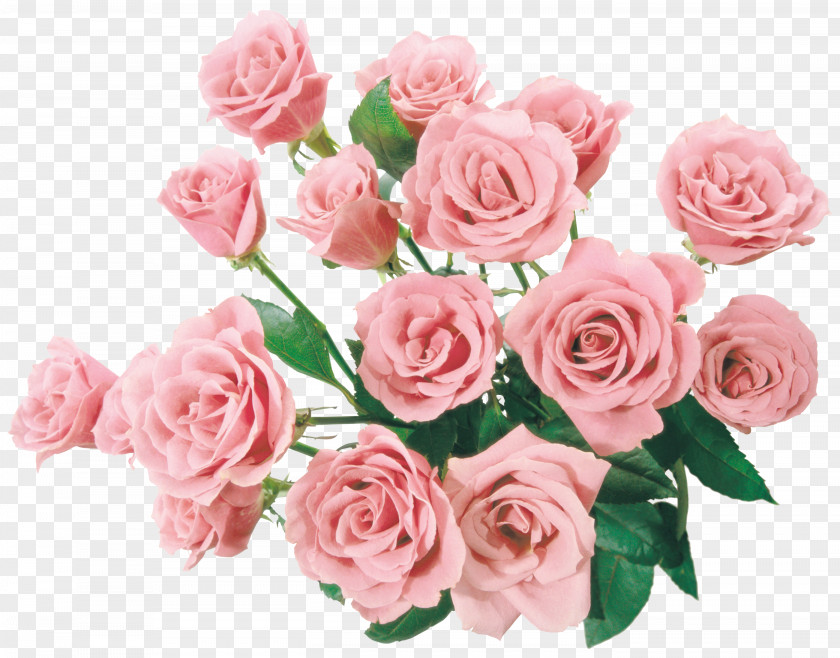 A Large Bouquet Of Flowers Flower Rose Stock Photography Clip Art PNG