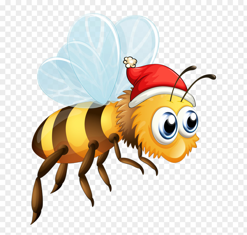 Bee Hat Insect Illustration PNG