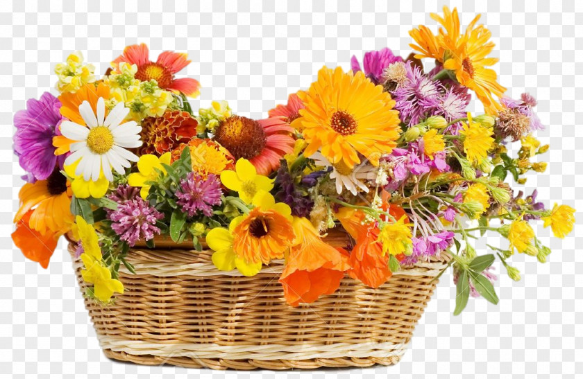 Flower Stock Photography Basket Royalty-free PNG