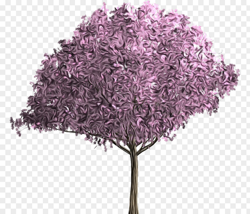 Grass Flower Tree Purple Plant Lilac Violet PNG