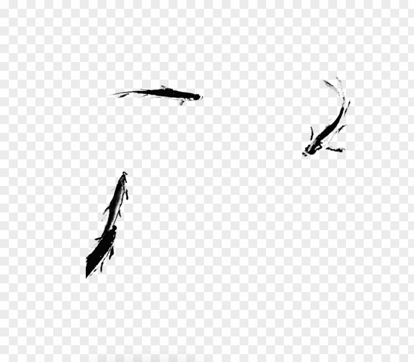 Ink Fish Wash Painting Computer File PNG