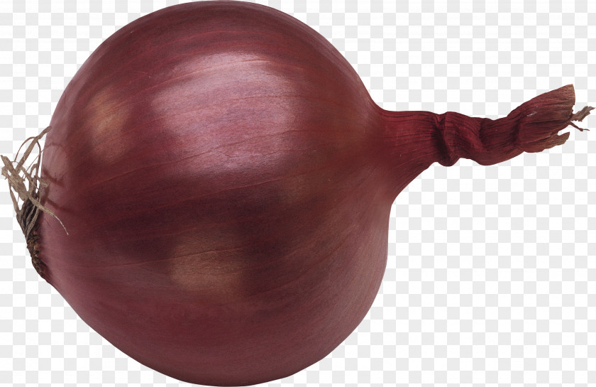 Onion Image Red Clip Art PNG