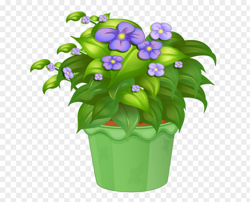 Plant Flowerpot Drawing Cartoon Clip Art PNG