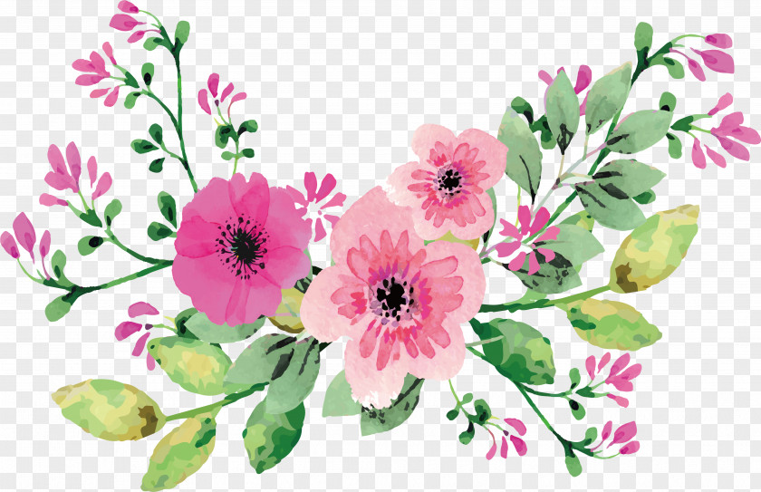 Romantic Watercolor Flowers PNG
