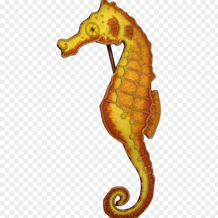 Seahorse Syngnathiformes Fish Animal Organism PNG