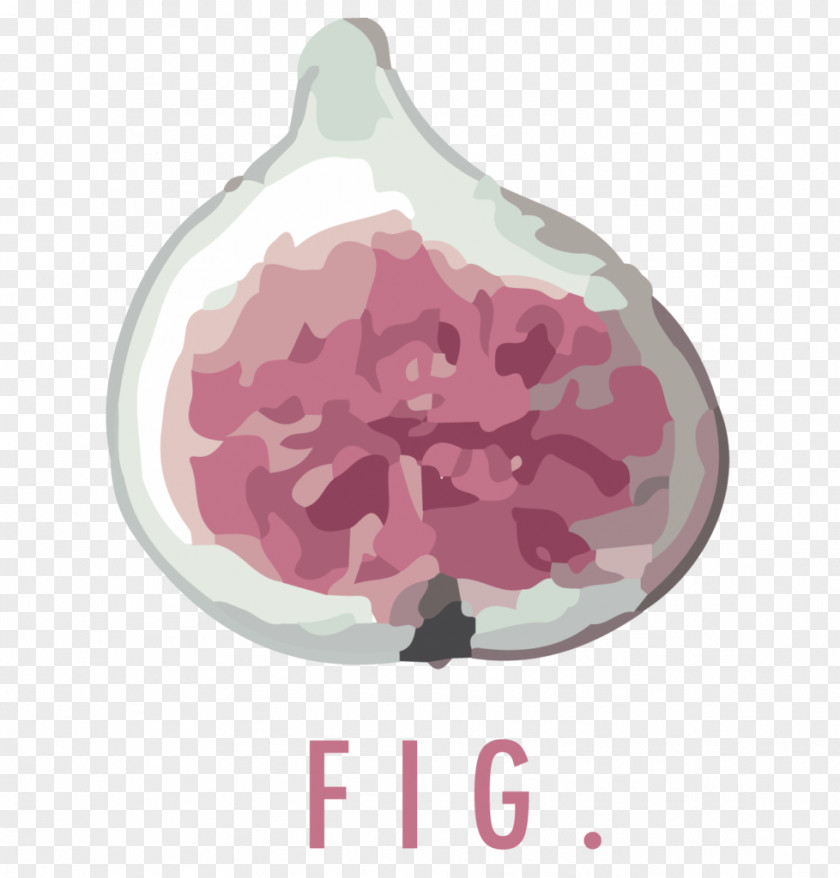 Fig Graphic Design Logo Creative Services PNG