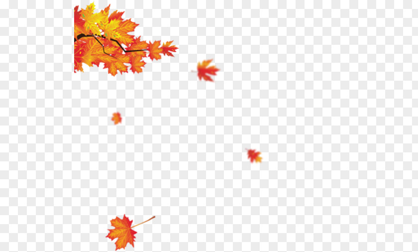 Leaves Maple Leaf Red PNG