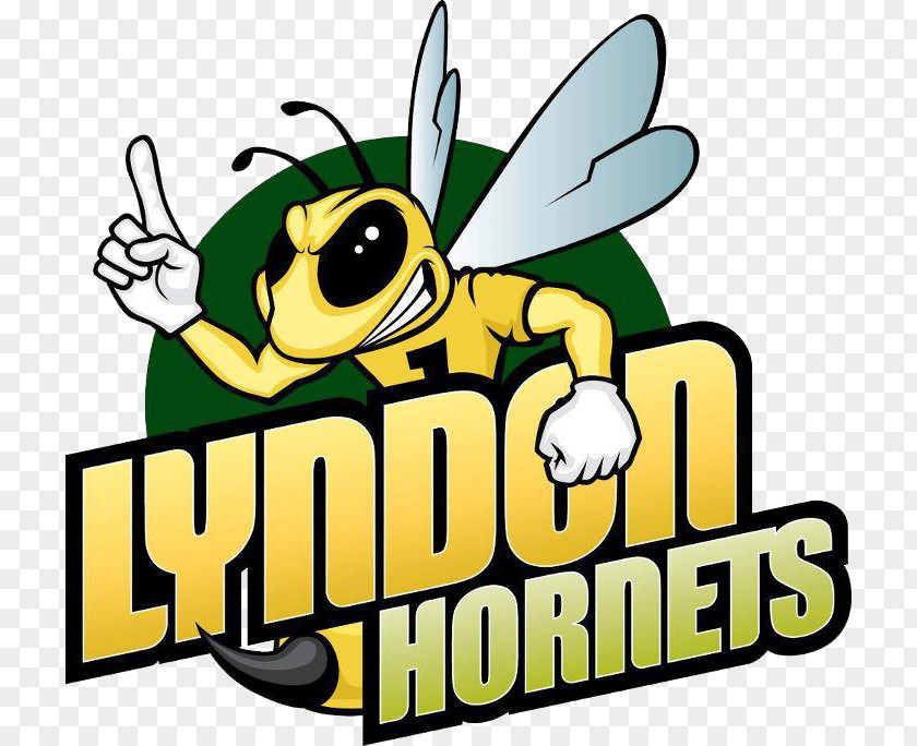 Lyndon State College Hornets Men's Basketball Connecticut North Atlantic Conference Amherst PNG