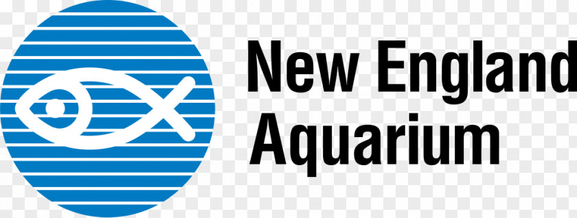 New England Aquarium Historic Giant Ocean Tank Harbor Seal PNG
