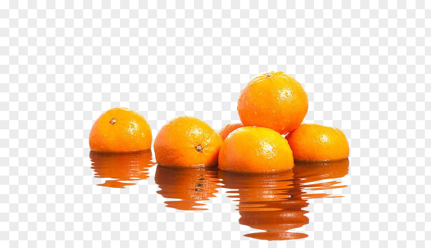 Orange Oranges Clementine Mandarin Juice Tangelo Bitter PNG