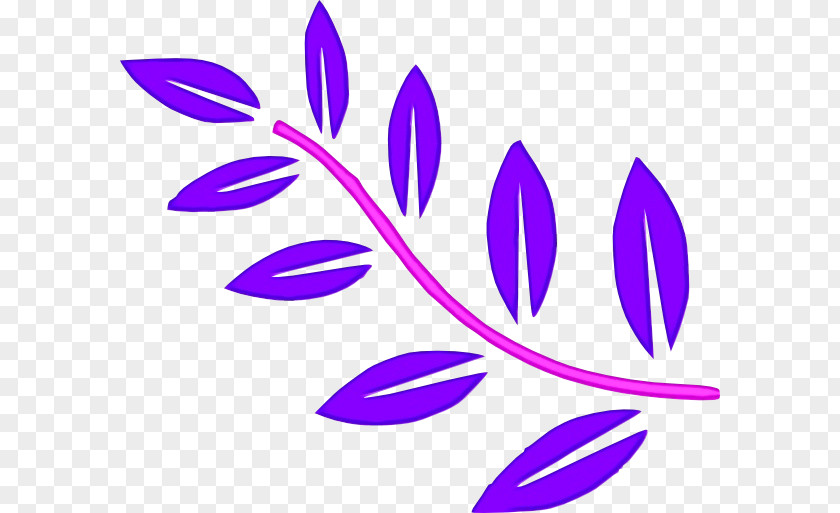 Purple Violet Lilac Plant Leaf PNG