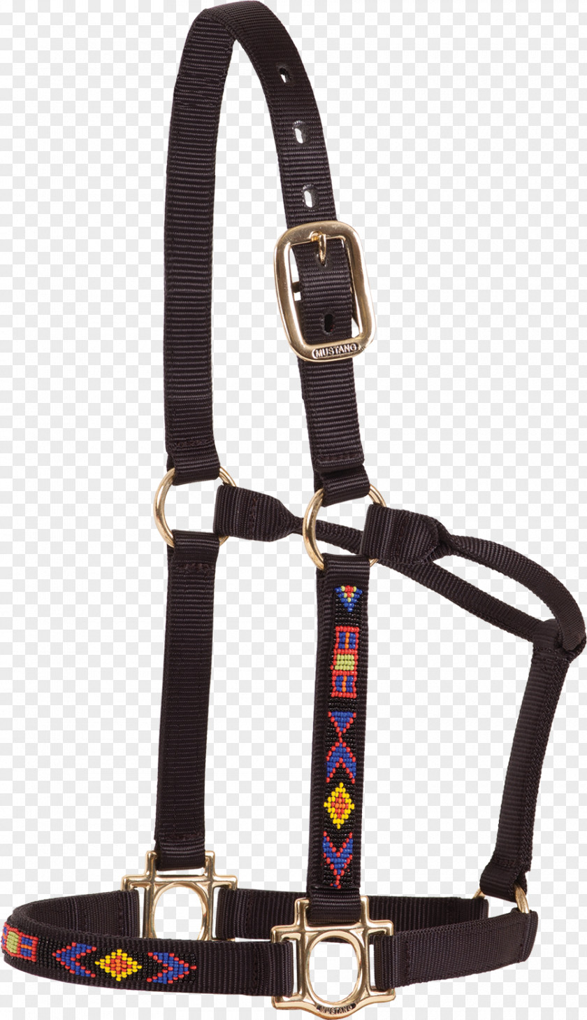 American-style Halter Horse Tack Strap Leash Buckle PNG