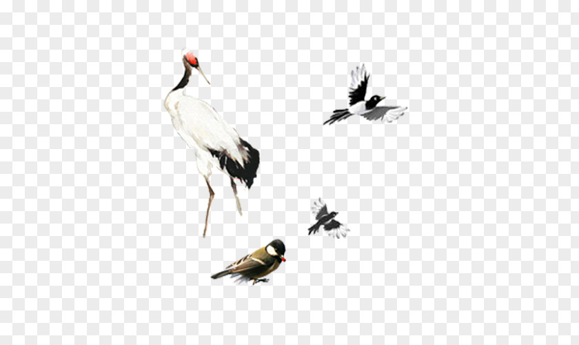 Crane And Birds Red-crowned Ink Wash Painting Chinoiserie PNG