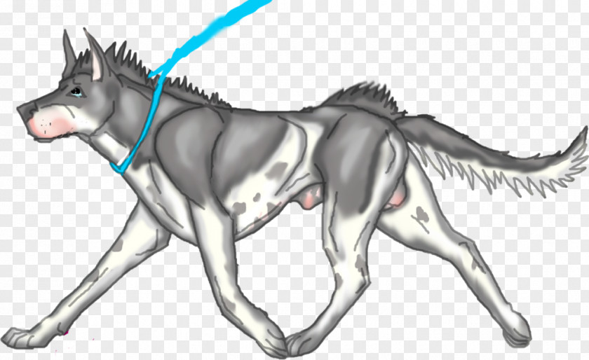 Dog Horse Cartoon Line Art PNG