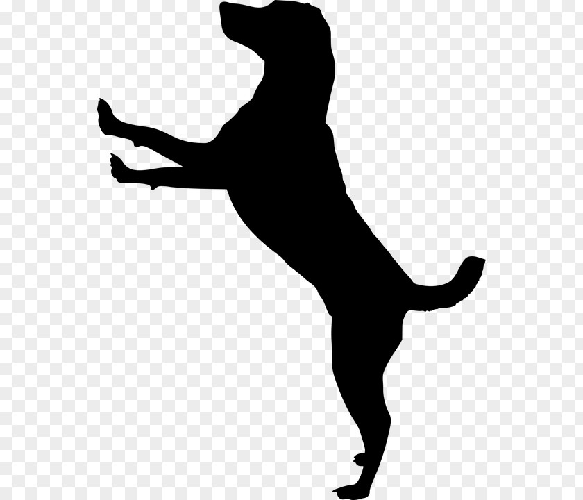 Dog Run Cat Pet Silhouette Jack Russell Terrier Puppy PNG