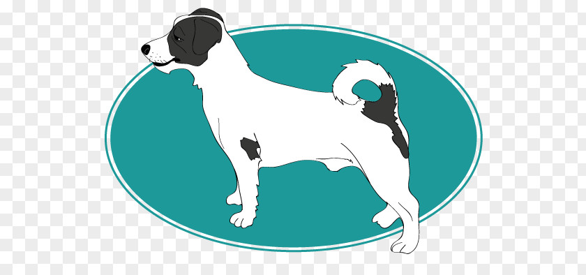Jack Russell Dog Breed Puppy Cartoon PNG