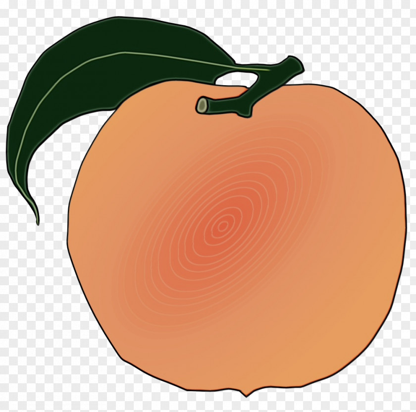 Orange PNG