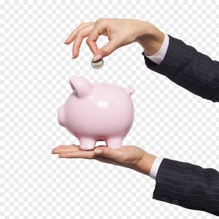 Savings Account Saving Money Piggy Bank Investment PNG