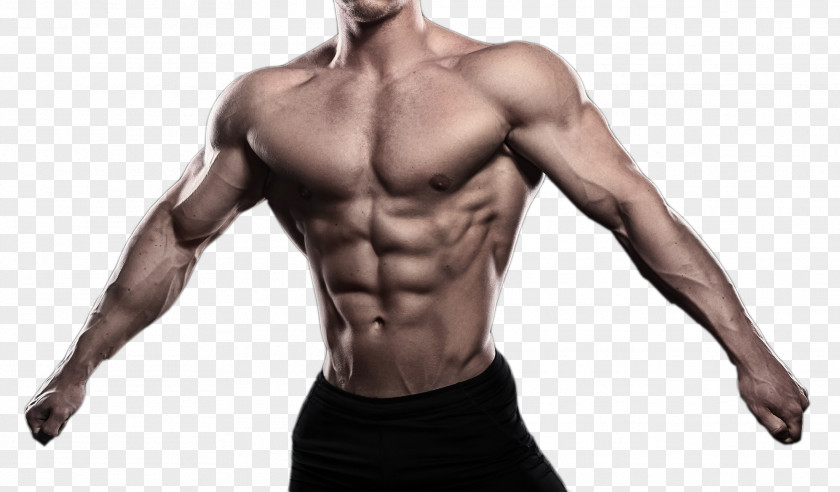 Open Arms Showing Muscle Man Bodybuilding Download PNG