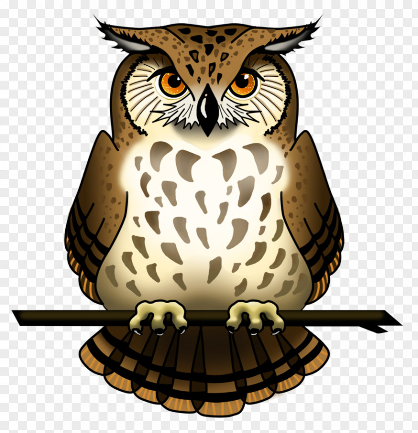 Owl Picture Tawny Clip Art PNG