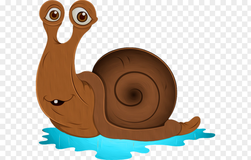 Cartoon Snail Wood Escargot PNG