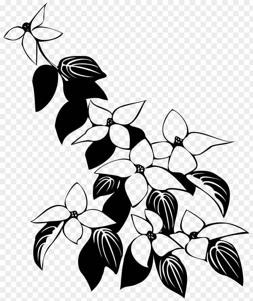 Clip Art Insect Leaf Plant Stem Pattern PNG