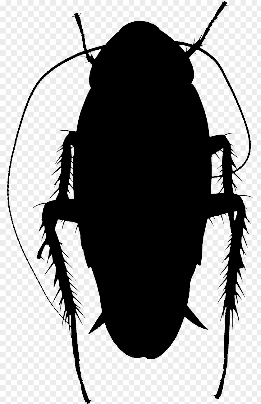 Clip Art Silhouette Insect Membrane PNG