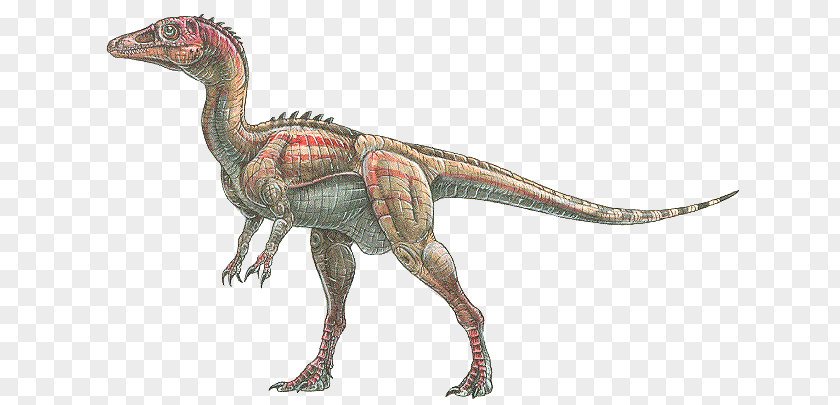 Dinosaur Eoraptor Lunensis Velociraptor Tyrannosaurus Alamosaurus PNG