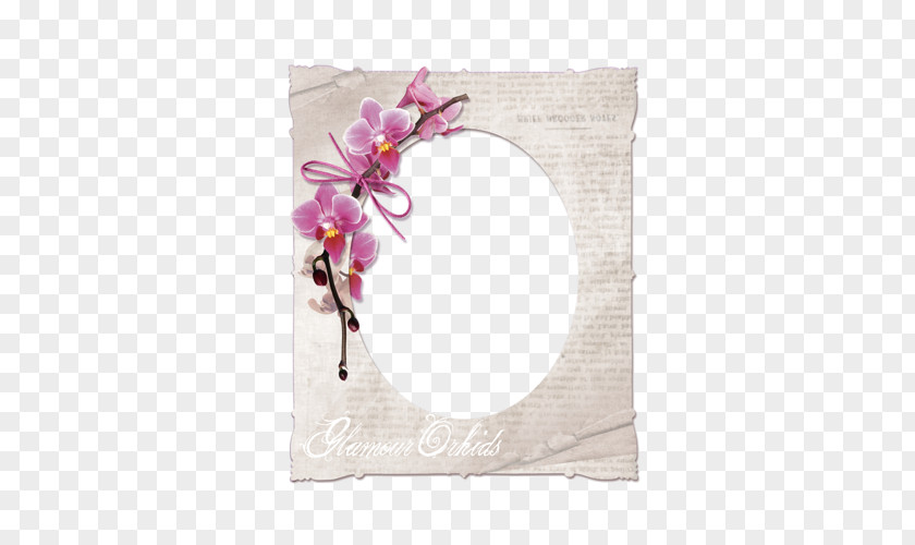 Flower Paper Picture Frames Floral Design Label PNG