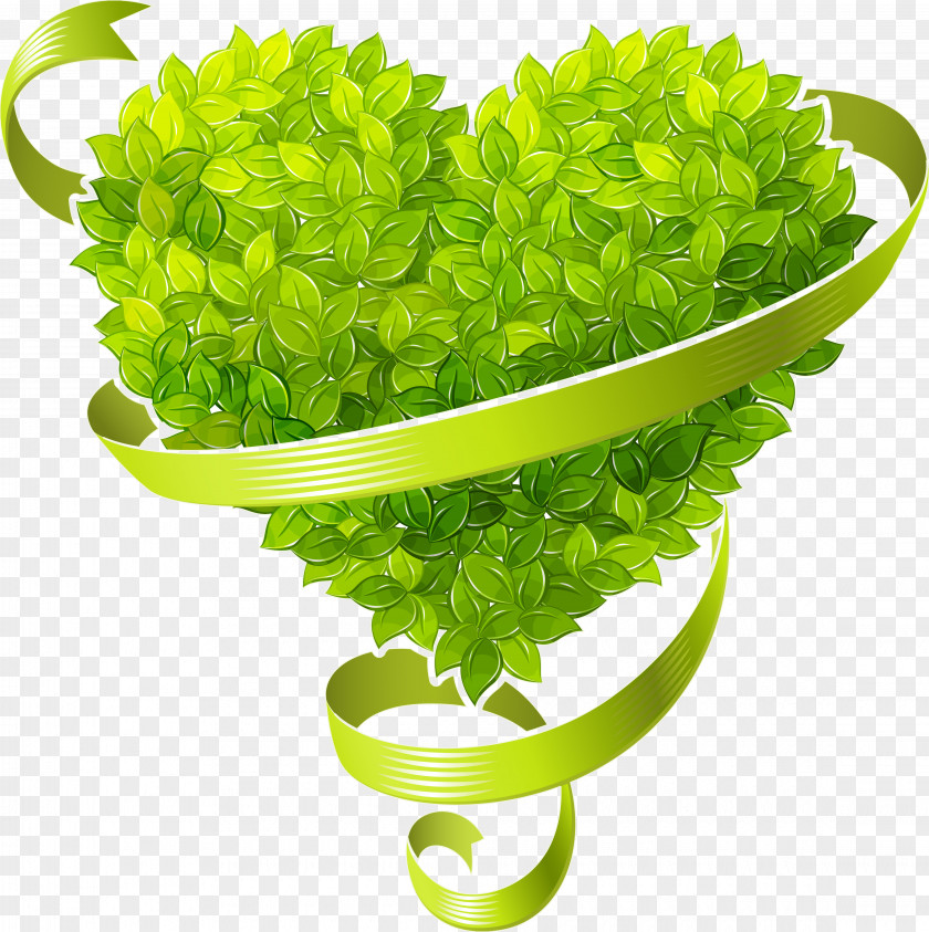 Green Leaves Heart Ecology PNG