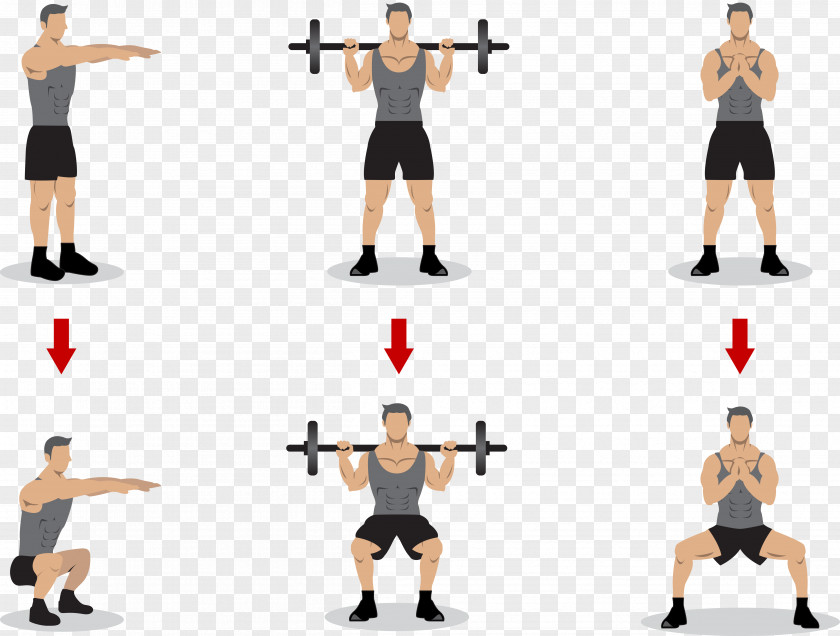 Gymnastics Weightlifting Squat Olympic Physical Exercise Strength Training PNG