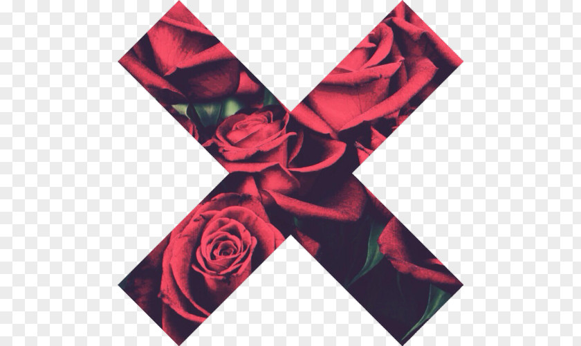 Indie Albums Garden Roses Desktop Wallpaper Red Blue Rose PNG