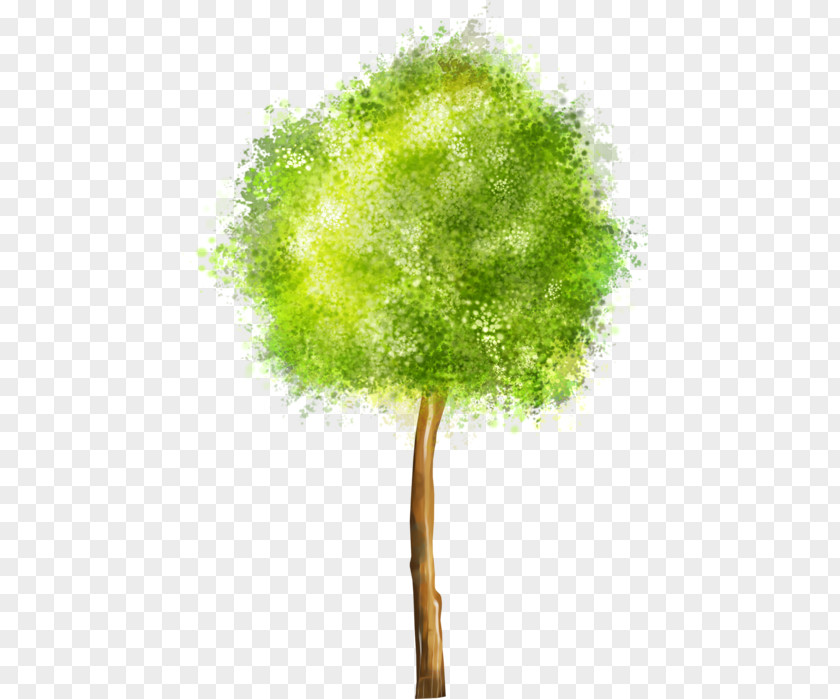 Tree Drawing Clip Art PNG