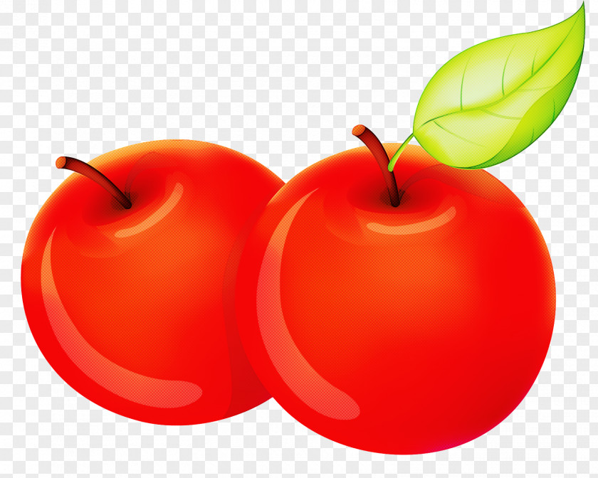 Apple Tree Orange PNG