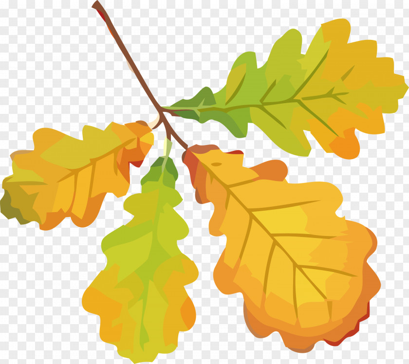 Autumn Leaf Yellow PNG