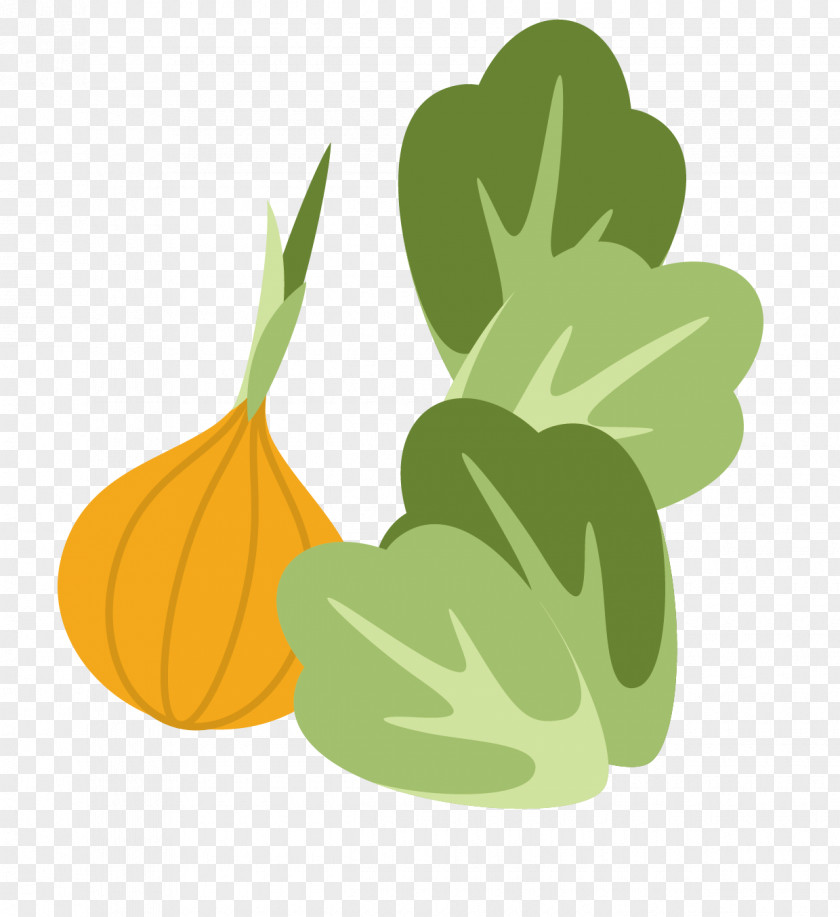 Flat Cabbage And Garlic Cucurbita Napa Vegetable PNG