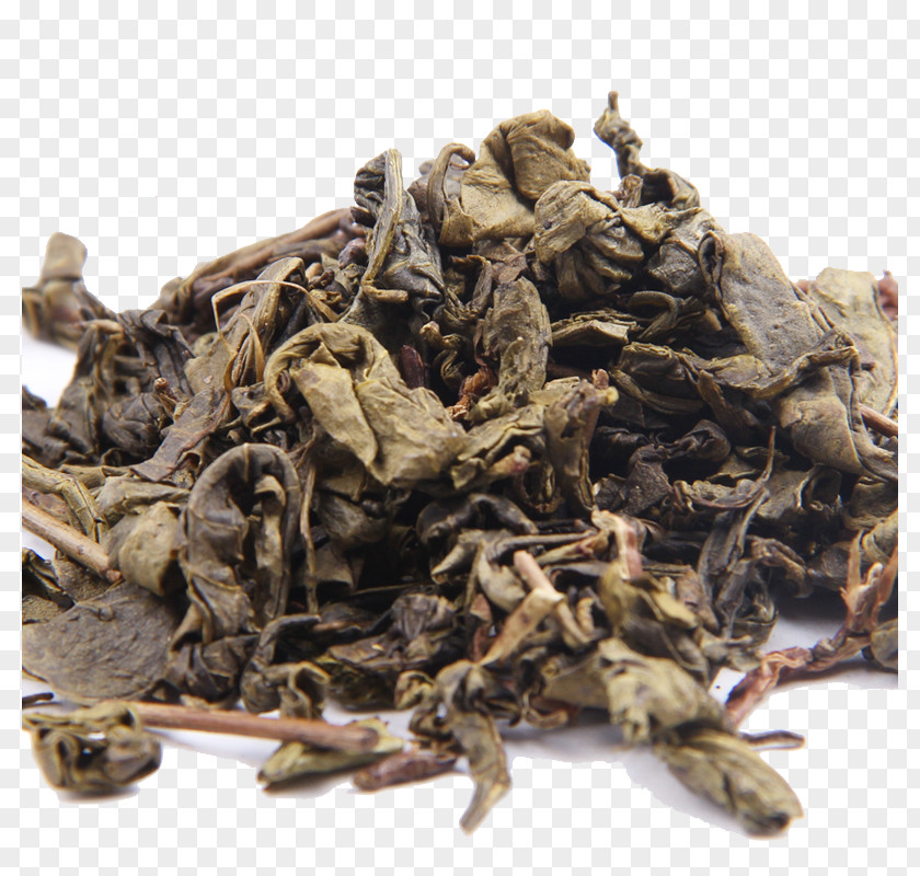 Herbs Basil Leaves Tea Herb PNG