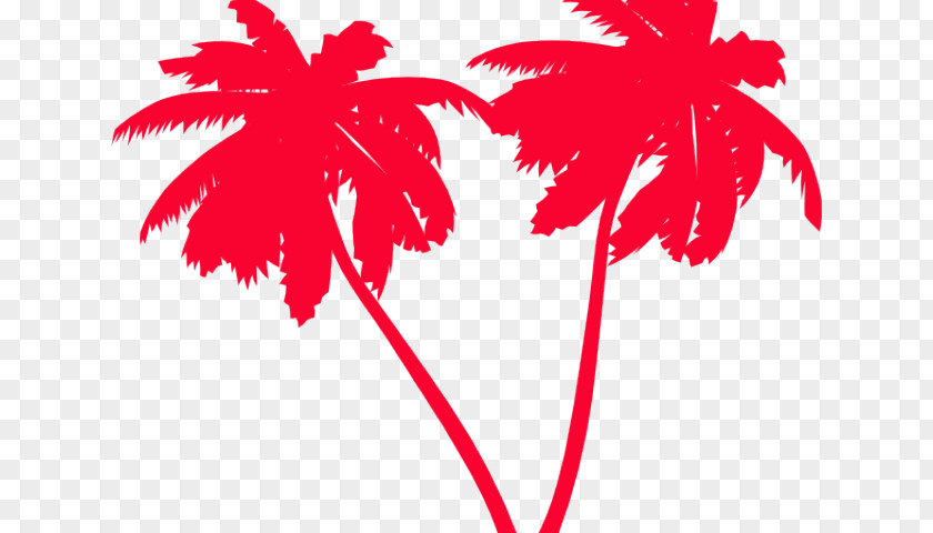 Palm Trees Clip Art Sabal PNG