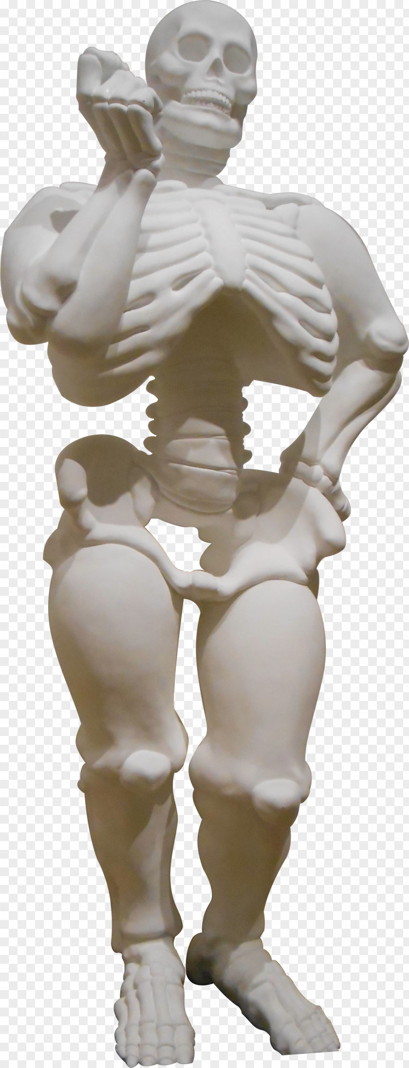 Skeleton Human Bone Body Figurine PNG