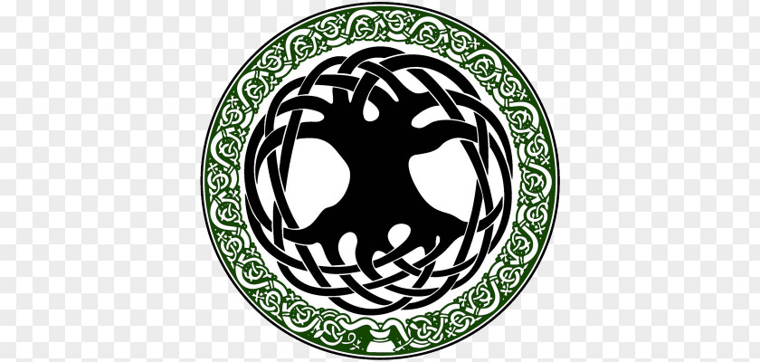 Symbol Tree Of Life Celts Celtic Knot Art PNG