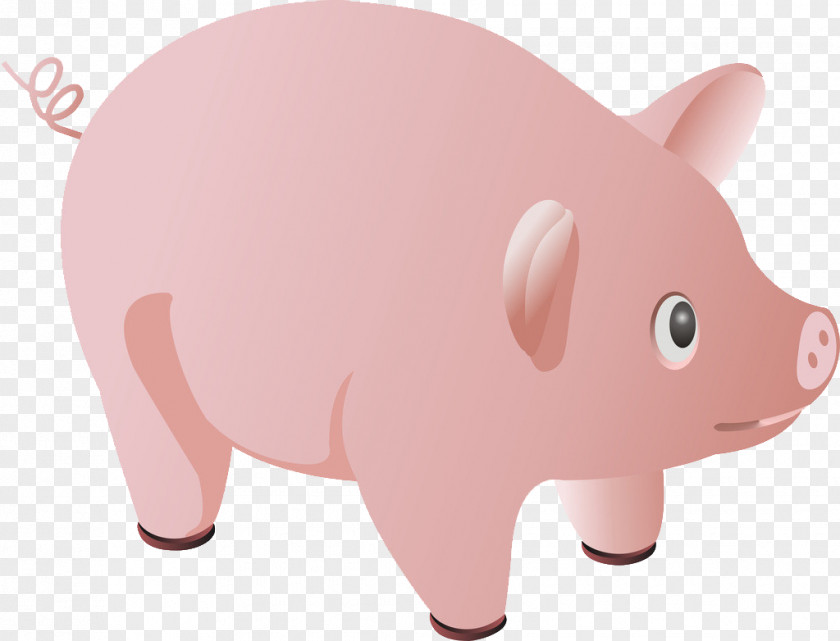 Pig Domestic Wilbur Piggy Bank PNG