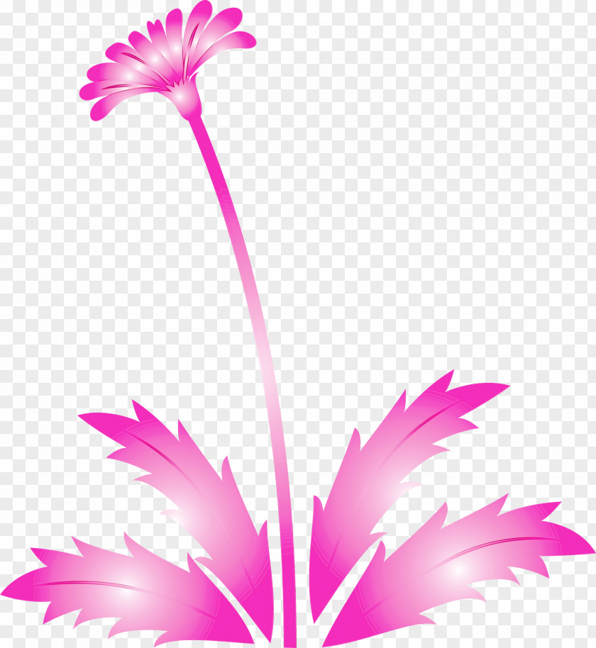 Pink Flower Plant Petal Family PNG